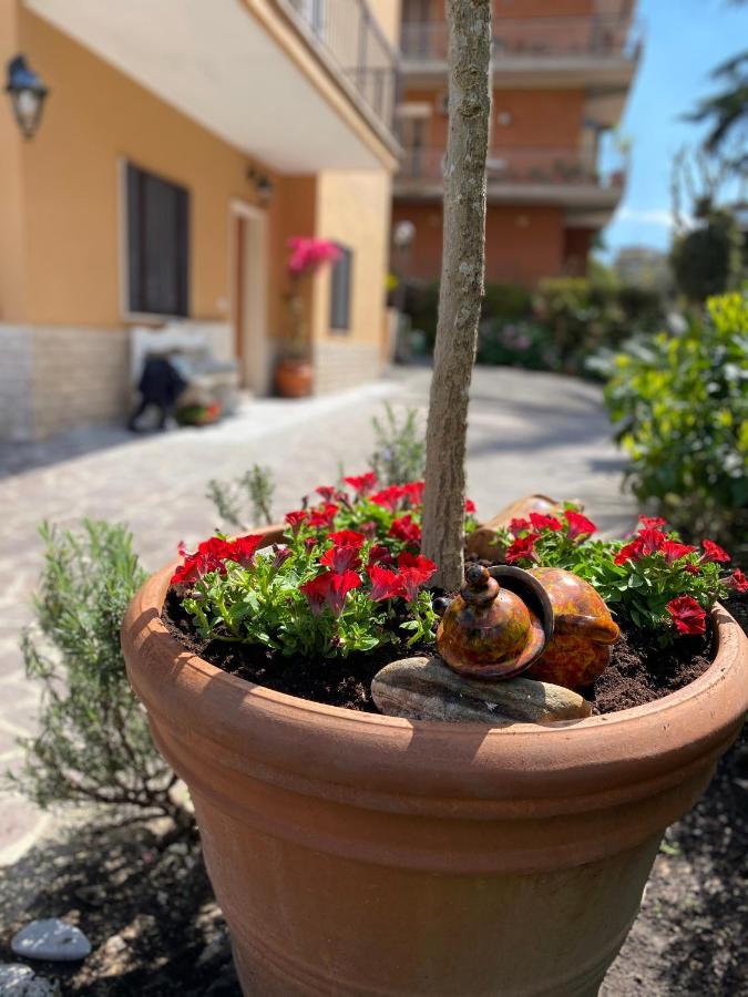 Olympic Bed & Breakfast Rome